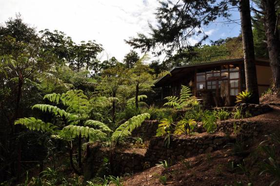 Em meio a uma mata, nosso hotel em Coroico, região dos yungas, na Bolívia